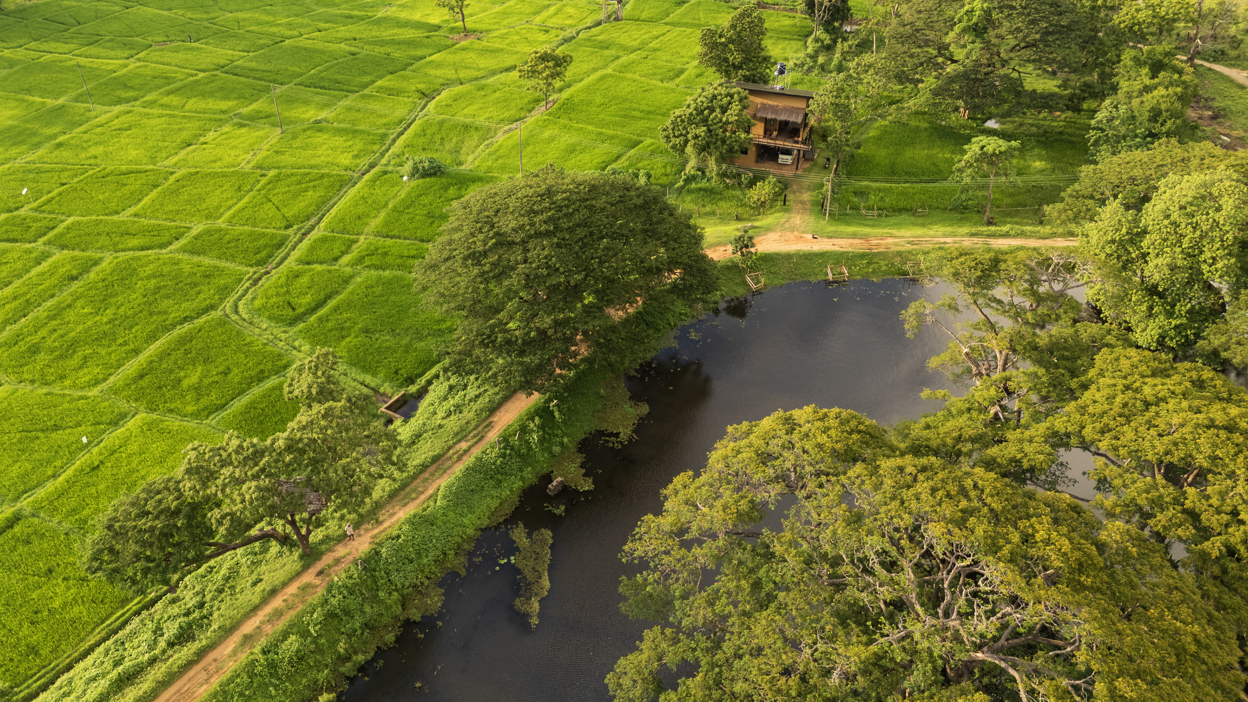 Aerial View of The Loft by the Lake & Paddy Fields
